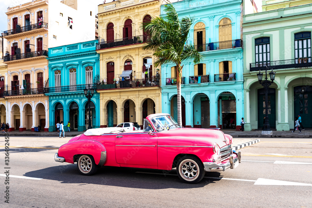 old pink convertible classic car in front of colorful houses in havana cuba - obrazy, fototapety, plakaty 