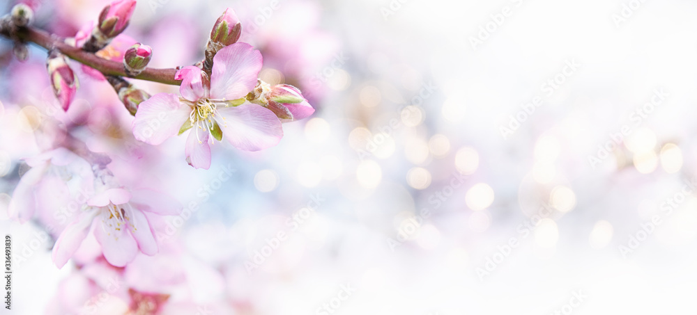 Fresh flowers. Spring background.