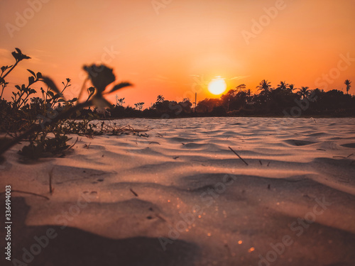 sunset in The desert  sunset desert close up short with the ground  Sand dunes sun on top of the forest  Evening sunset Sand dunes