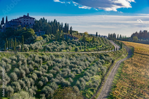 Fototapeta Naklejka Na Ścianę i Meble -  panorama of the Chianti hills in Tuscany