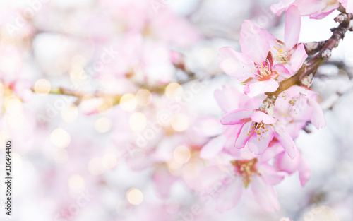 Fresh flowers. Spring background. © Guschenkova