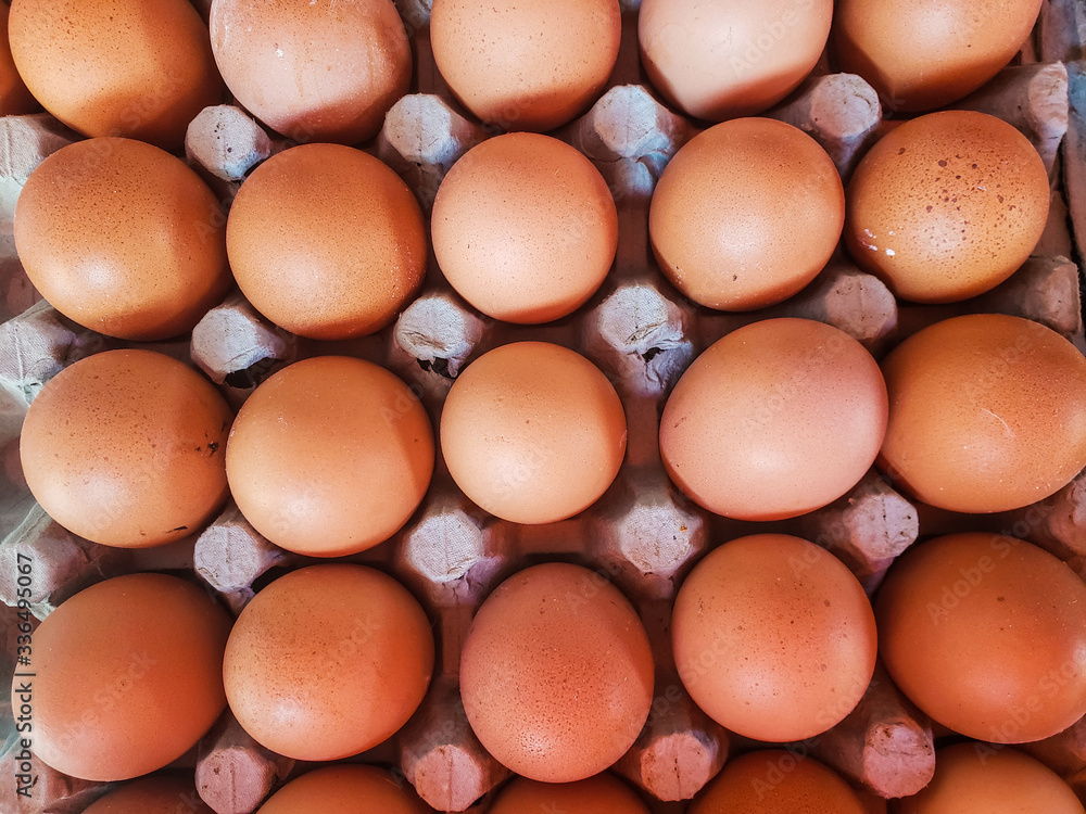 view of group of chicken eggs for sell view of group of chicken eggs for sell