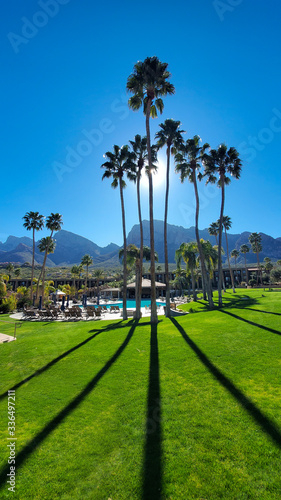 Desert Resort View