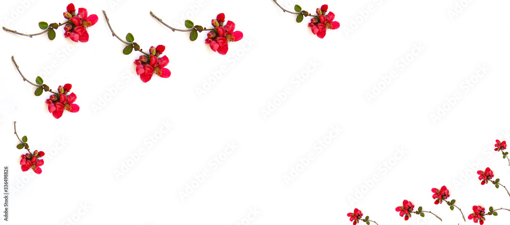 Obraz premium Round frame with pink buds of flowers, branches and leaves isolated on a white background. layout, top view, space.