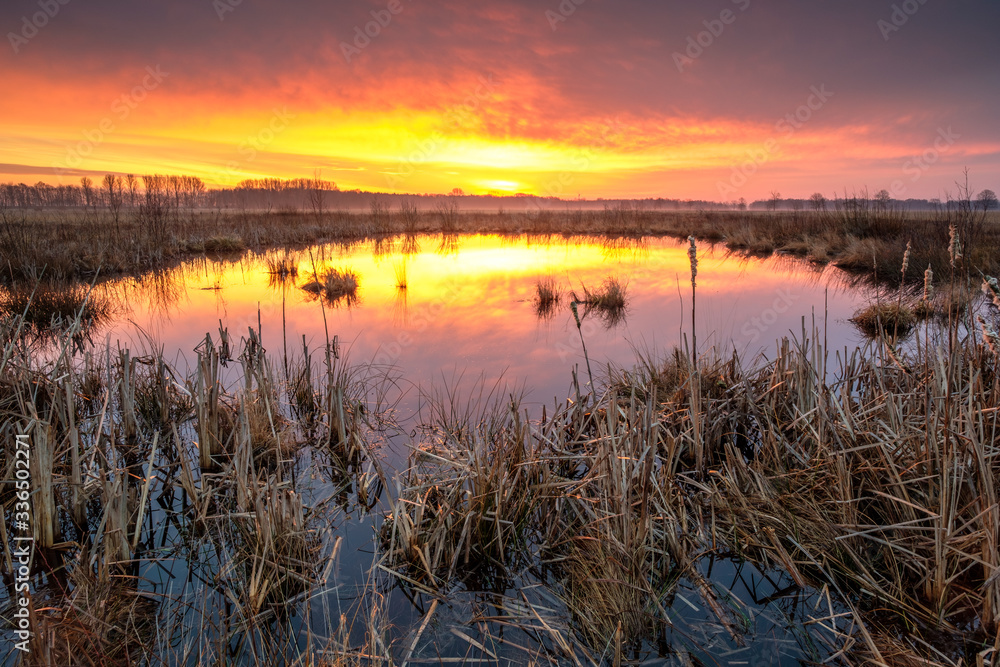 Großes Torfmoor Großes Torfmoor