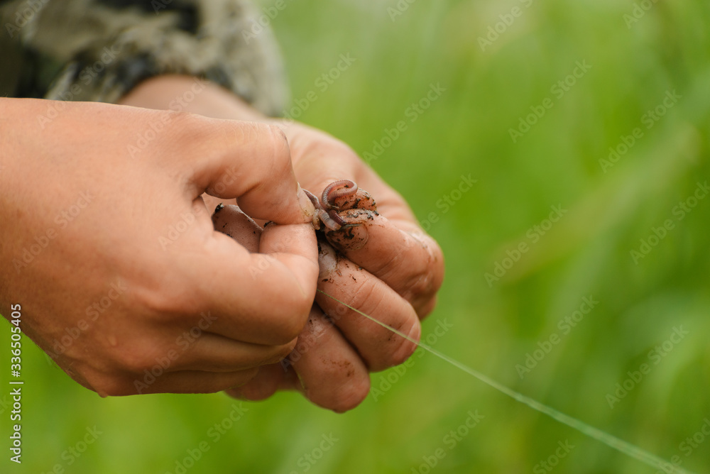 The earthworm and fishing line are in male hands on the green blurred background.