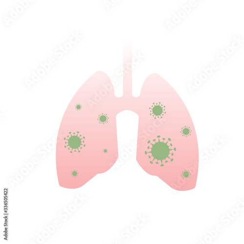 lungs human 