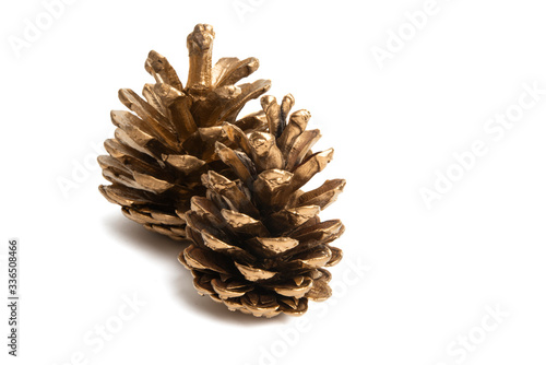 golden pine cones isolated