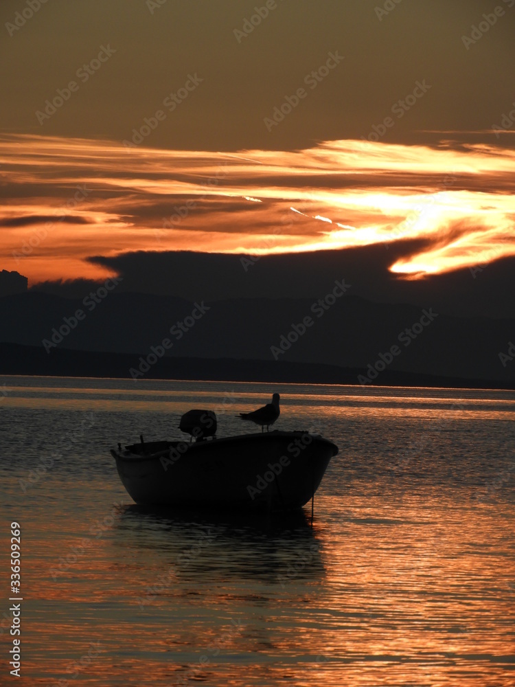 seagull on the boat during sunset
