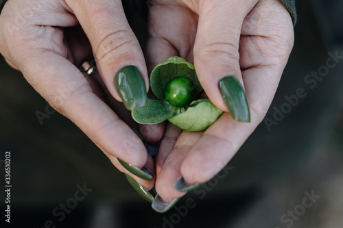 girl with green manicure holds a green cranberry in her hands