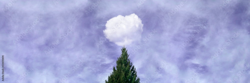 Green Christmas tree with white cloud on background of lilac sky. Nature background with copyspace. Peace, surrealism, freedom, mental health concept. Stock photo. Green Christmas tree with white cloud on background of lilac sky. Nature background with copyspace. Peace, surrealism, freedom, mental health concept. Stock photo.