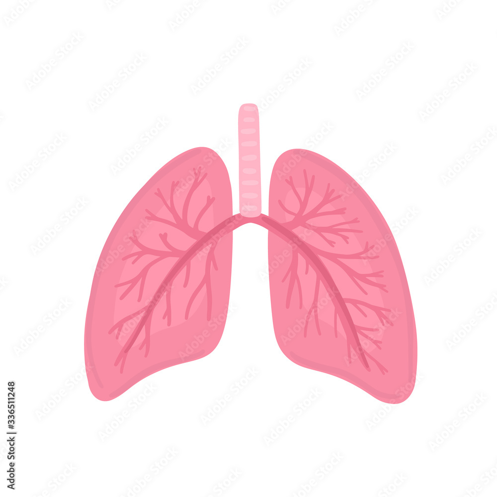 pulmonary-medicine-meaning-in-tamil-at-mary-bevis-blog