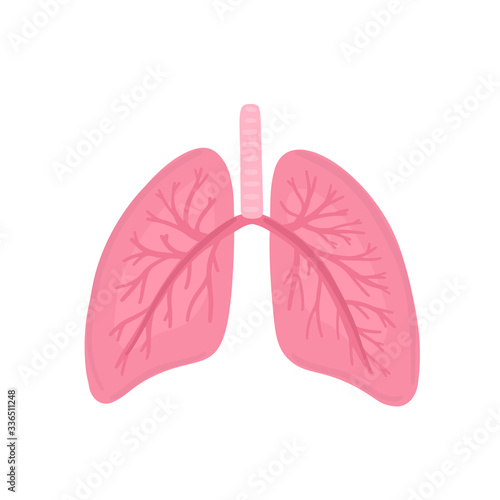 Vector healthy human lungs. Illustration for label, advertisement of pulmonary medicine, poster or banner for pulmonology clinic, design for website or article about respiratory system health
