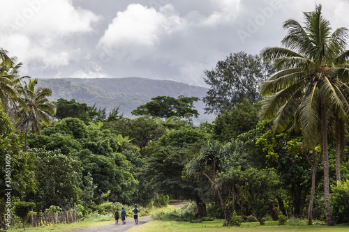 Boys walking from school.  green tropical forest. Tanna island, Vanuatu.