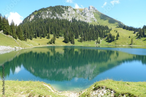 Fototapeta Naklejka Na Ścianę i Meble -  Swiss Alps Summer