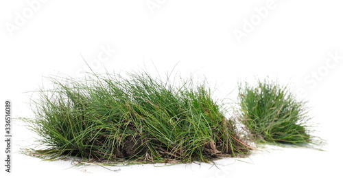 Green grass, sod isolated on white background