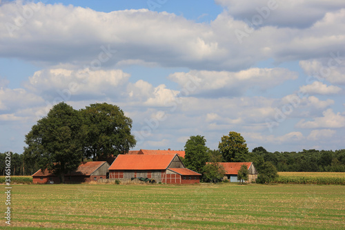 Foto Bauernhof in Westfalen im Sommer