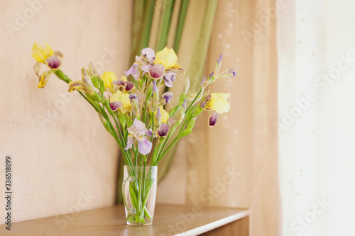 Fototapeta Naklejka Na Ścianę i Meble -  colored irises in   vase at home