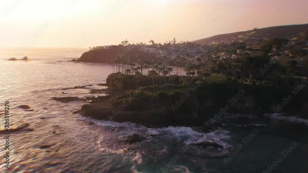 An aerial shot over Californian Palm Trees on and island. An aerial shot over Californian Palm Trees on and island.