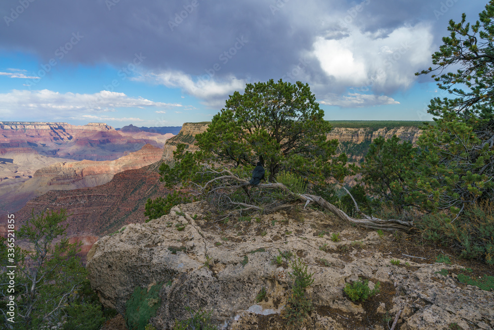 maricopa point on the rim trail at the south rim of grand canyon in arizona, usa