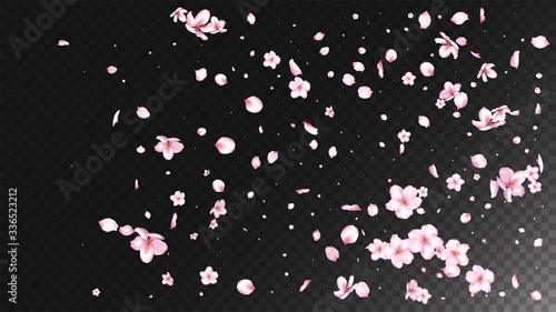 Nice Sakura Blossom Isolated Vector. Summer Showering 3d Petals Wedding Texture. Japanese Style Flowers Wallpaper. Valentine, Mother's Day Feminine Nice Sakura Blossom Isolated on Black