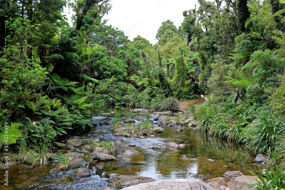 Wairere Falls Wairere Falls