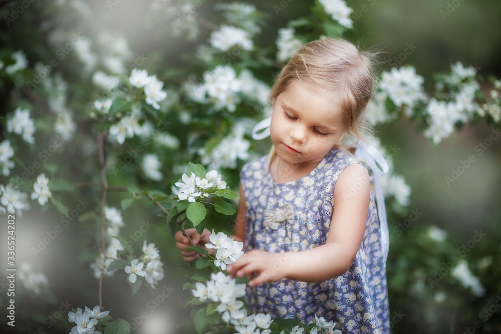 a girl walks in the spring, Apple trees bloom, a happy child a girl walks in the spring, Apple trees bloom, a happy child