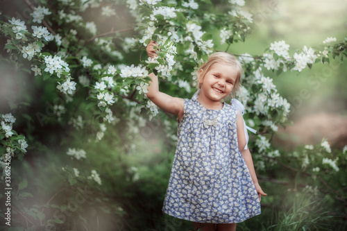 a girl walks in the spring, Apple trees bloom, a happy child