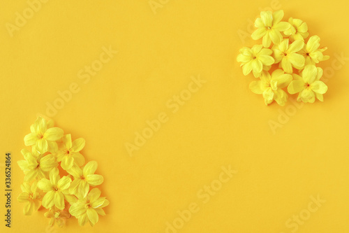 Spring floral composition made of fresh yellow flowers on yellow background. Festive flower concept.