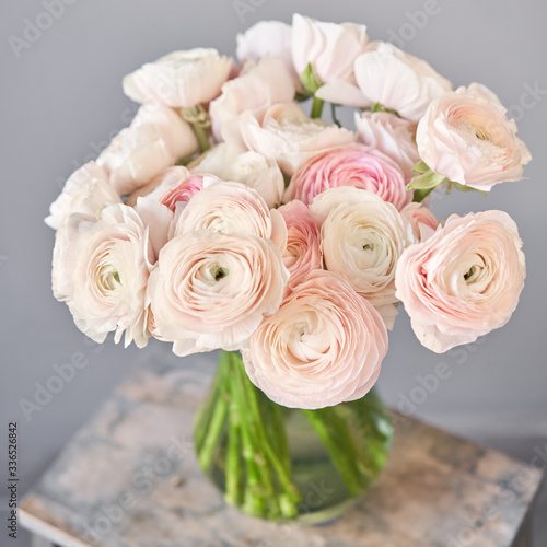 Spring background  flower Wallpaper. Persian buttercup. Bunch pink ranunculus flowers on light gray background. Vase on vintage wooden table. Wallpaper