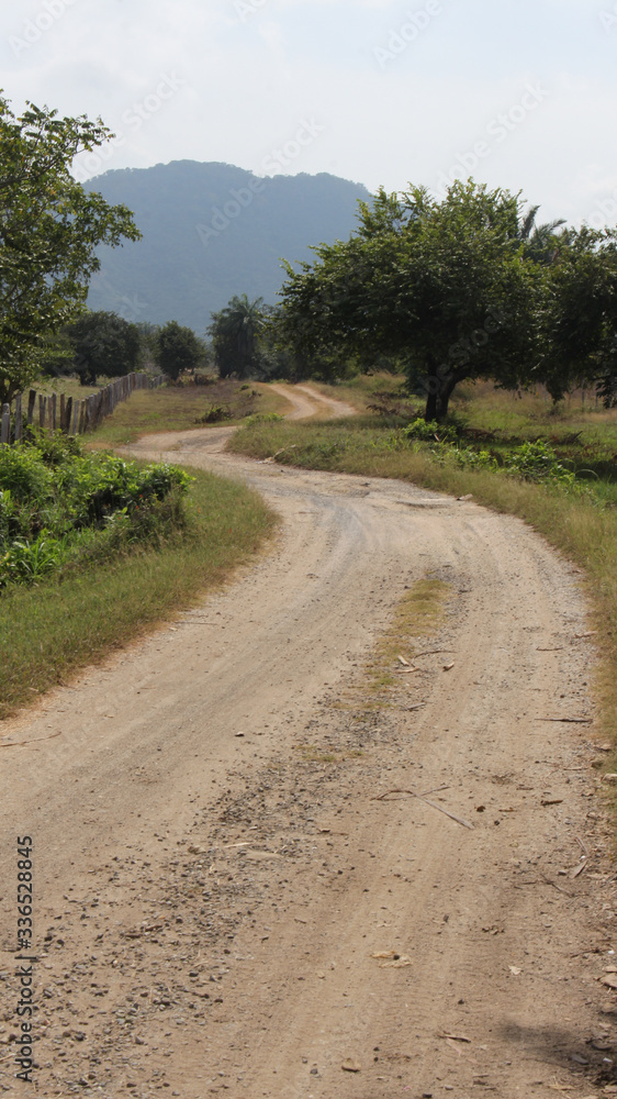 camino en el campo