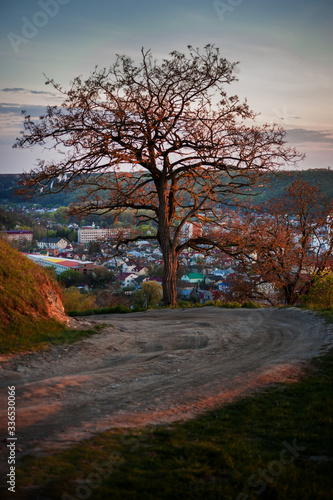 Lone tree near old road under panoramic view at the town, sunset light