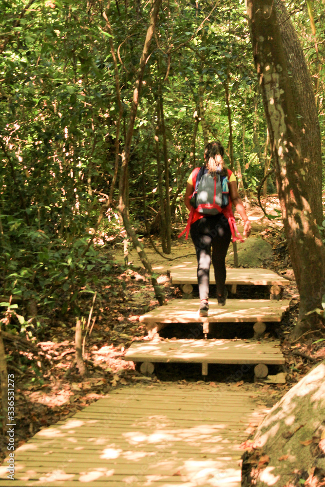 Fototapeta premium Mujer caminante en el bosque 