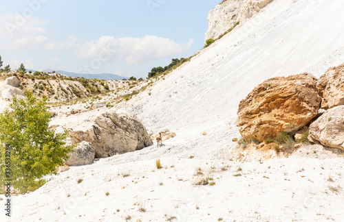 slope detail of la Unica abandoned quarry at collado de puerto blanco pass, Quentar, province of Granada, Andalusia, Spain photo