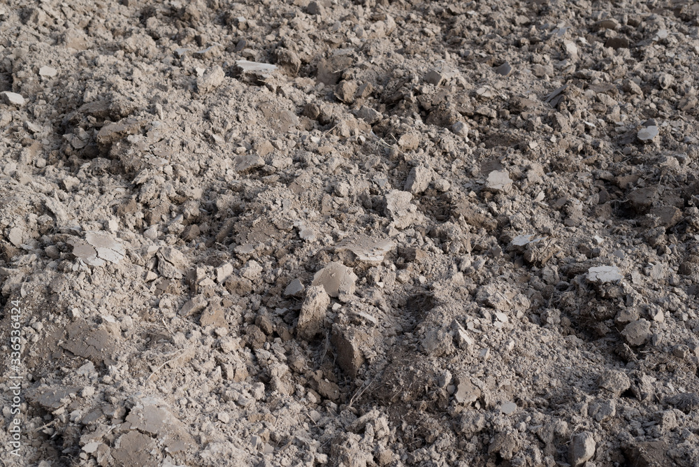 Plowed land before sowing crops. Plowed land before sowing crops.