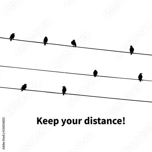 Birds on wires. Keep your distance. Vector illustration
