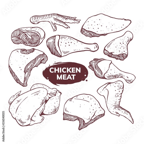 chicken set illustration