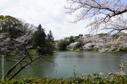 県立 三ツ池公園 photo