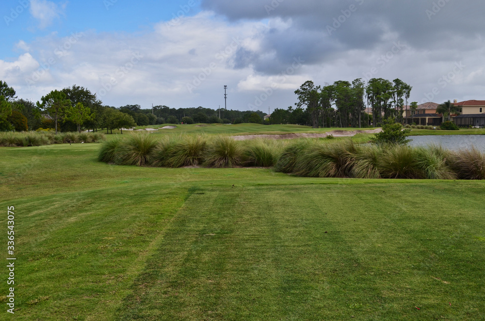 Golf Course Fairway with Line of Native Grass Hazard