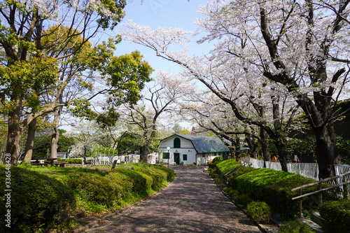 根岸森林公園