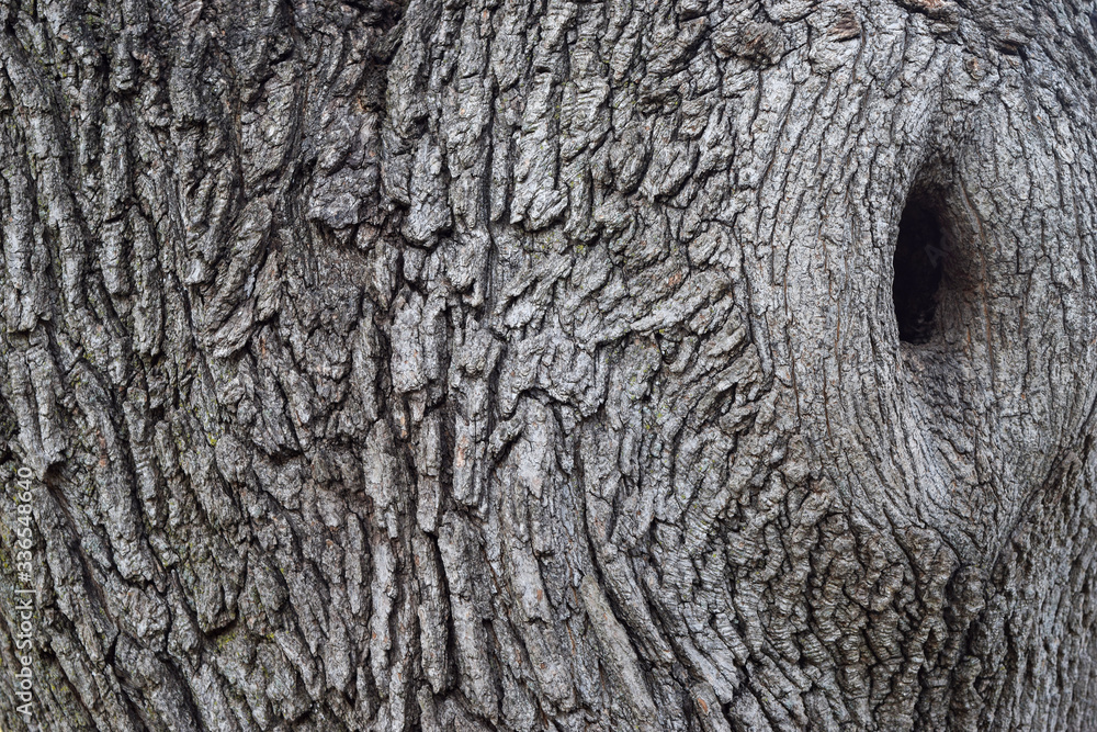 Abstract rustic tree bark background Abstract rustic tree bark background