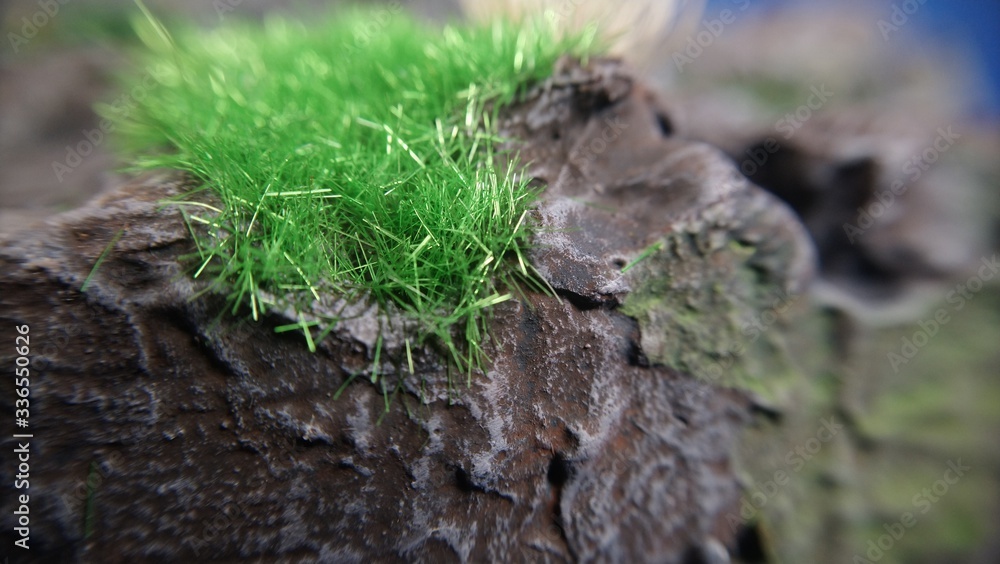 Obraz premium Electrostatic grass for model , macro