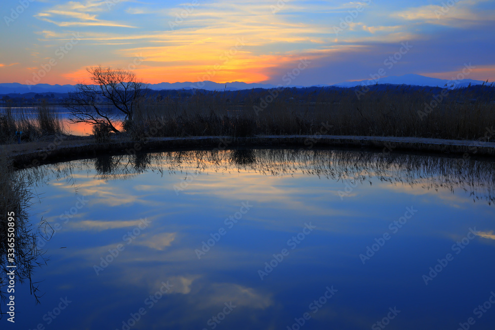 Fototapeta premium 木場潟の夜明け