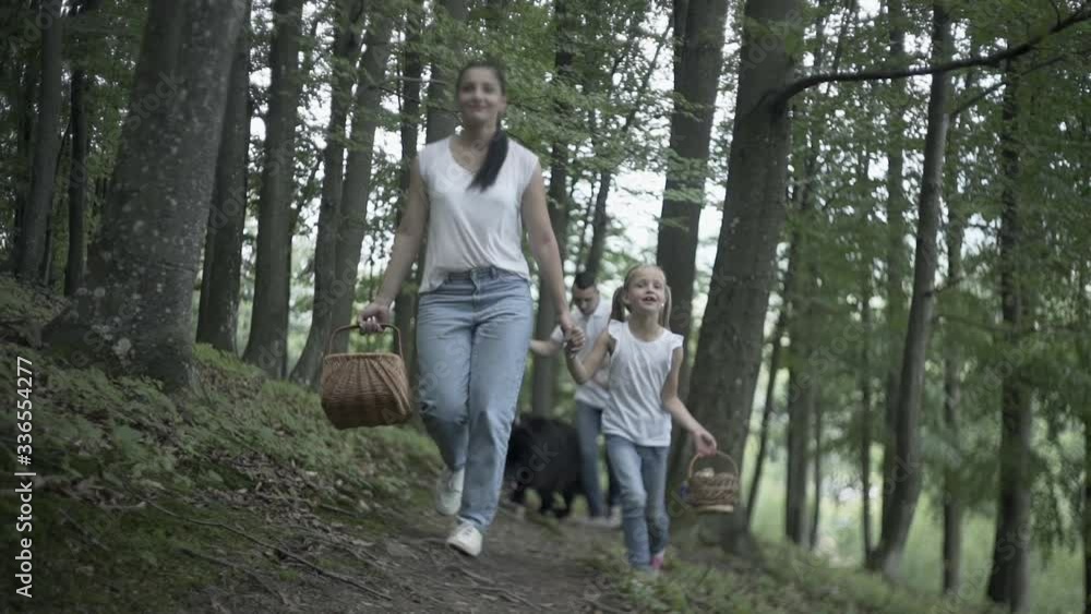 Family On Hiking Adventure Through Forest. Happy family of mother, father and daughters walking in coniferous forest holding hands. Parents showing beautiful trees to kid. Children pick mushrooms Family On Hiking Adventure Through Forest. Happy family of mother, father and daughters walking in coniferous forest holding hands. Parents showing beautiful trees to kid. Children pick mushrooms