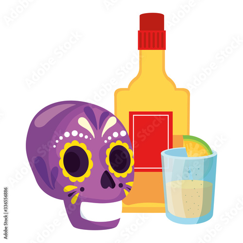 Mexican skull and tequila bottle and shot design, Mexico culture tourism landmark latin and party theme Vector illustration