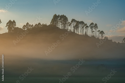 Early morning mist on dry stock station, New Zealand