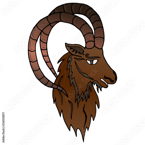 Vector antique engraving drawing illustration of Siberian capricorn on a white background.