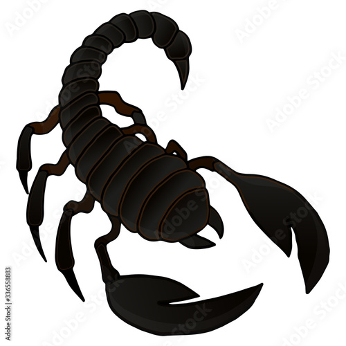 Vector colorful illustration of a scorpion on a white background.