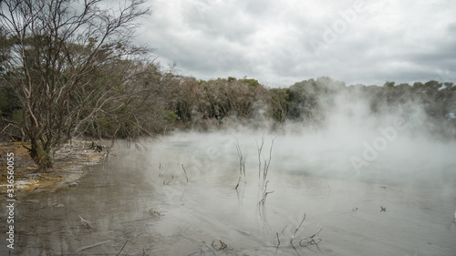 Dead geothermal landscape vista with leafless vegetation and steaming lake. Shot in Kuirau Park, Rotorua, New Zealand