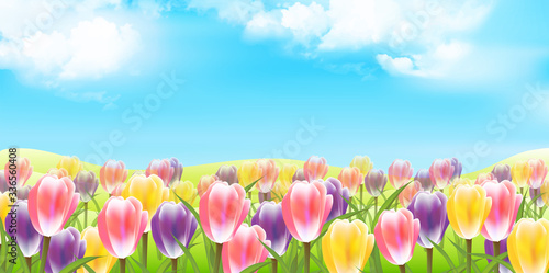 チューリップ　花　春　背景
